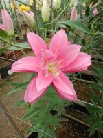 [5584 VH14 Twyford No02.JPG]